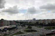 Фотокаталог Заболотного 1а 3